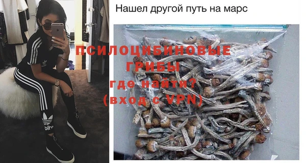 a pvp Алексин