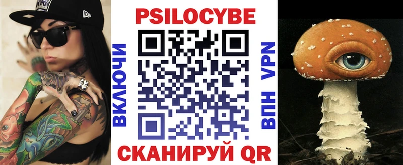 где можно купить   Углич  Псилоцибиновые грибы Psilocybine cubensis 